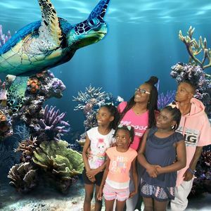 Meet your Posher, Louis